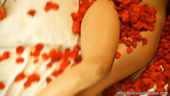 Sultry Desi Temptations: A Bollywood Seduction