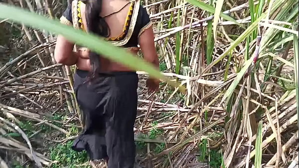 Fucking My Curvy Step-aunt In The Sugarcane Field Outdoors