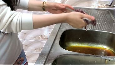 كفيل سعودي يخوزق الخادمة المصرية في غياب مرته