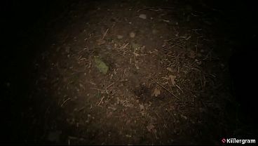 Killergram – That Classy Slut Takes It Raw In A Dogging Frenzy, Gagging On Every Strange Cock In A Nasty Outdoor Gangbang