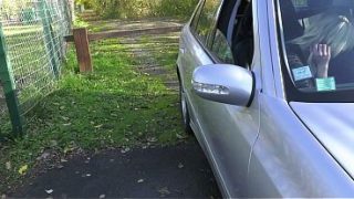Busty French Milf Sucks Me Off In The Backseat