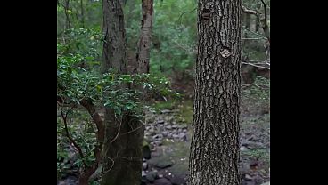 Fucked A Weird Florida Chick Raw And Filled Her Up In The Woods